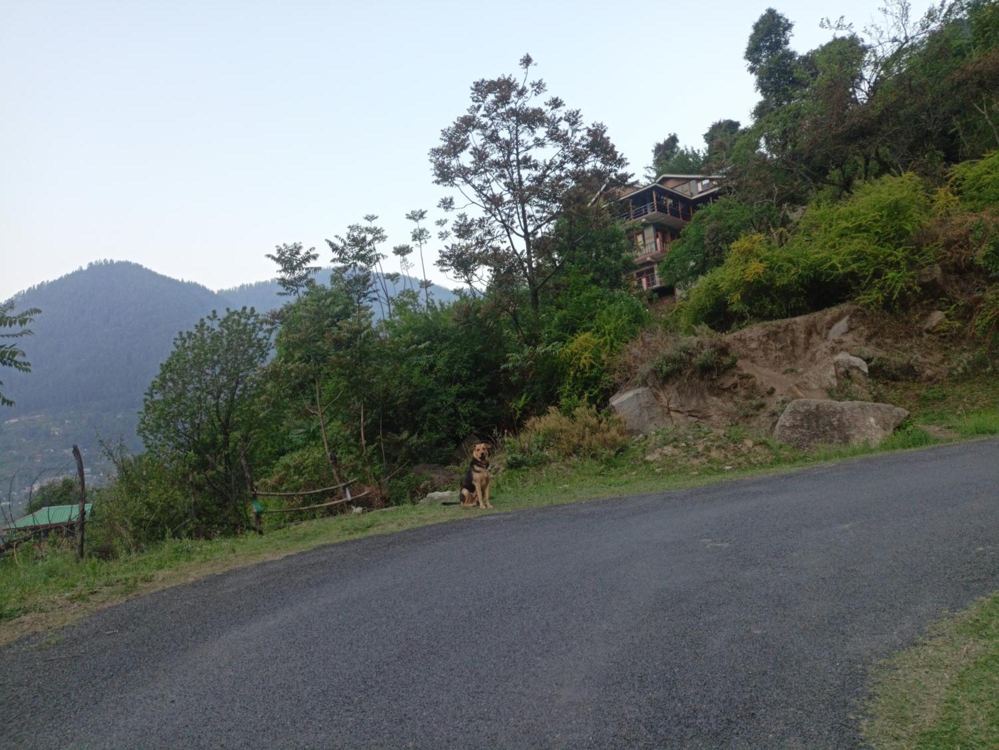 Tirthan Hilltop Home Stay Banjār Exterior photo