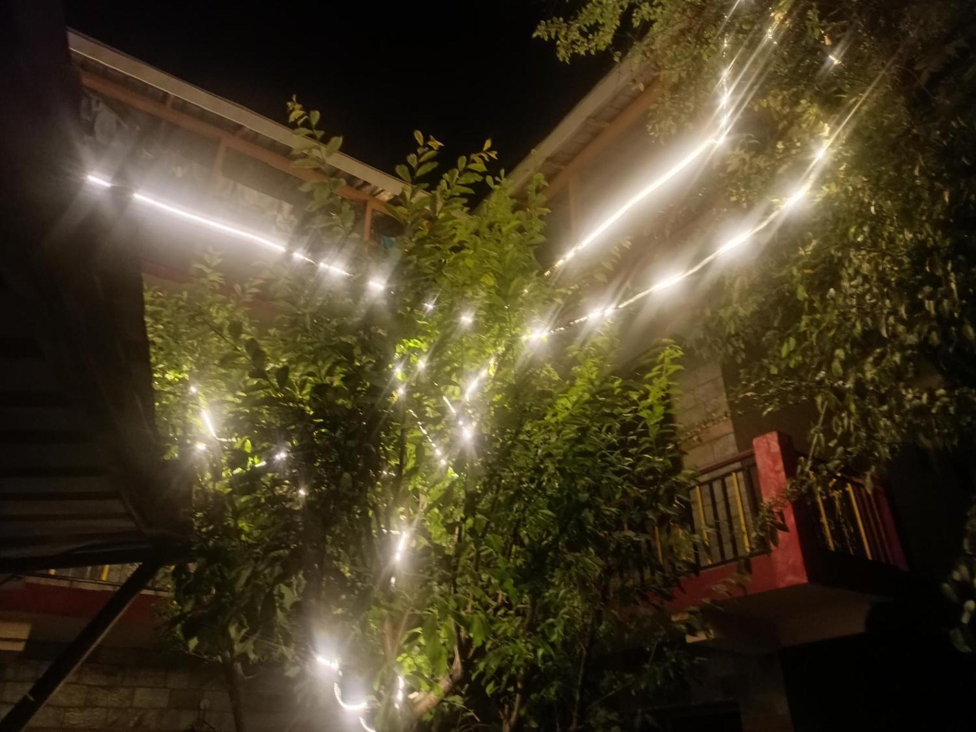 Tirthan Hilltop Home Stay Banjār Exterior photo